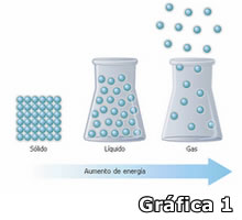 Gráfica 1