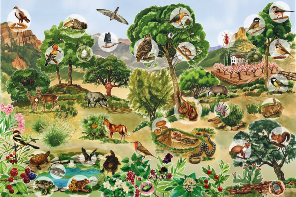 Paisaje natural con gran cantidad de animales.