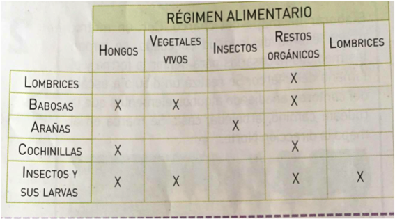 Tabla régimen alimentario.