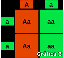 Gráfica 2