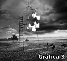 Gráfica 6