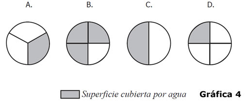 Gráfica 4