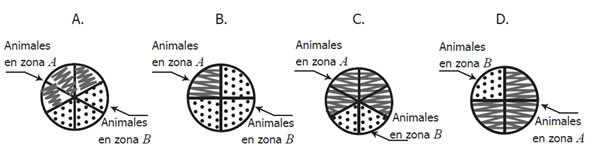 Gráfica