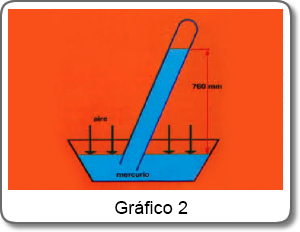 Grafico 2